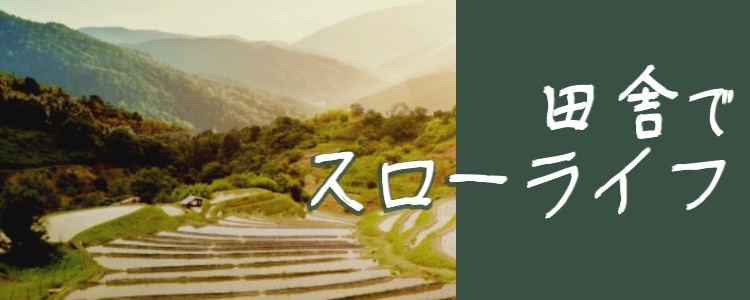 cook 今日なに作ろ？
